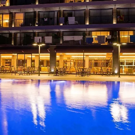 Mirage Palm (adults Only)