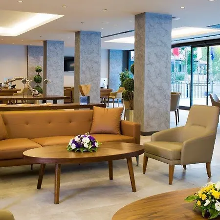 Mirage Palm (adults Only)