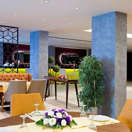Mirage Palm (adults Only)