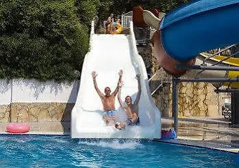 Mirage Palm (adults Only)