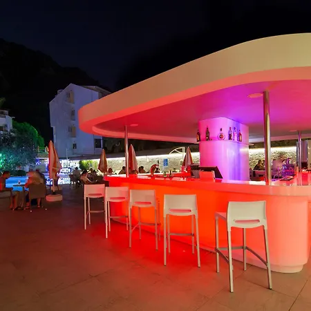 Mirage Palm (adults Only)